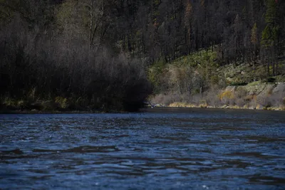 DSC_0252 (Large).JPG